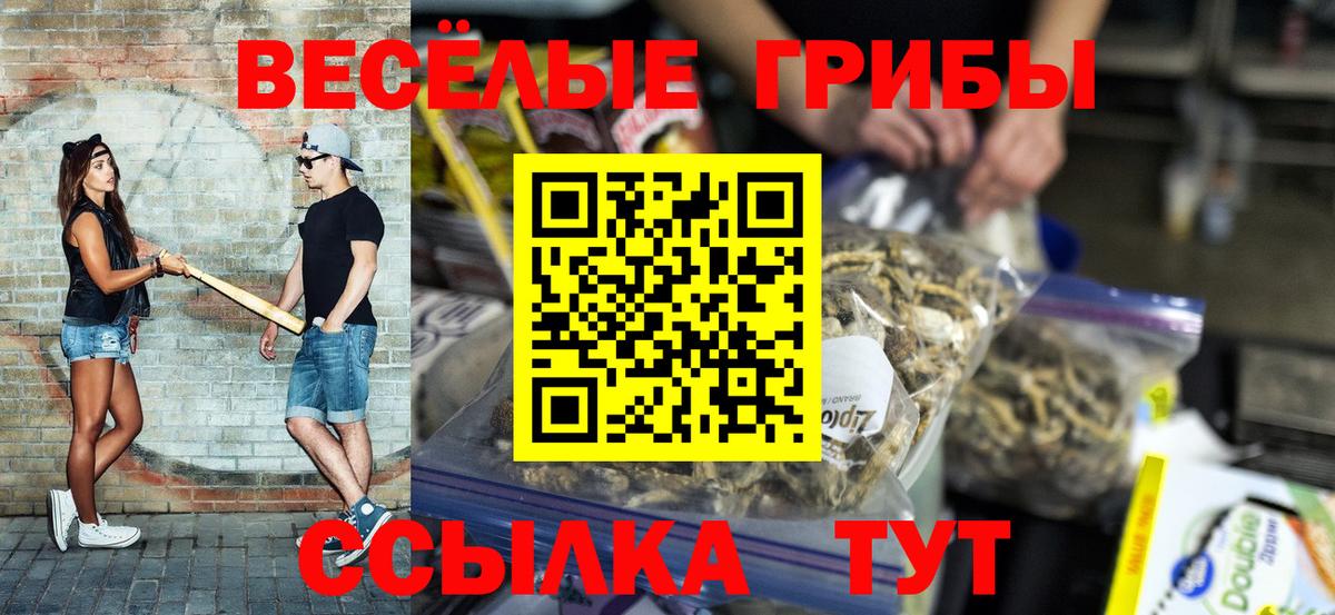 Псилоцибиновые грибы прущие грибы  Псилоцибиновые грибы ЛСД  закладки  Калининград  Вход с VPN 