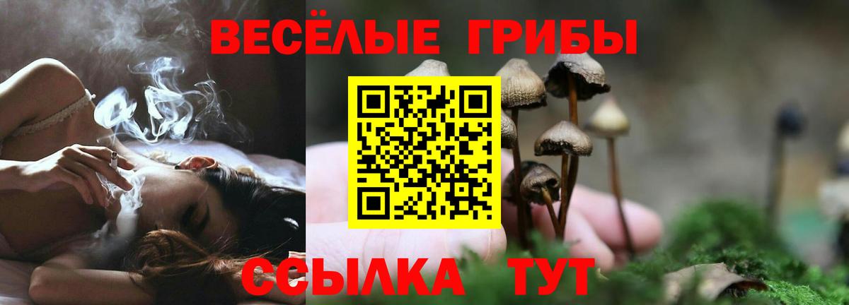 Псилоцибиновые грибы GOLDEN TEACHER Калининград